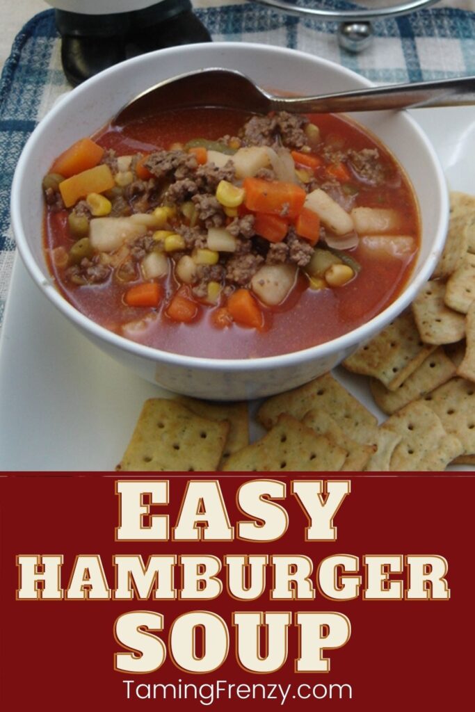 easy hamburger and vegetable soup