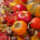 elements fron nature make quick and easy Thanksgiving decorations