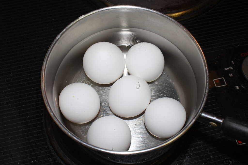 eggs ready to hard boil in pan